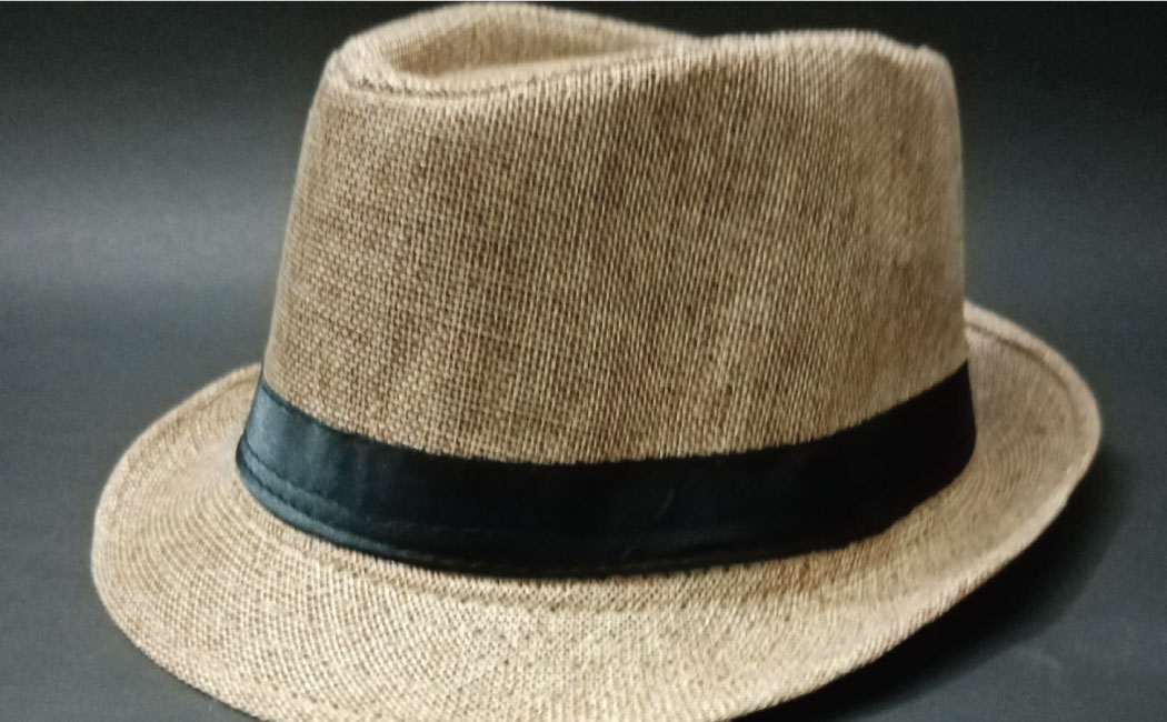 Fedora hat